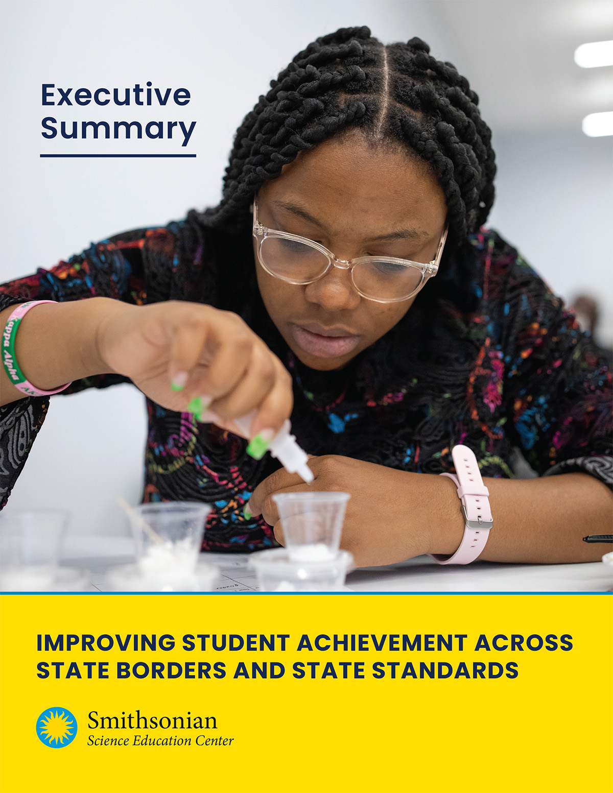 SSEC EIR Executive Summary